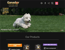 Tablet Screenshot of ganador.asia